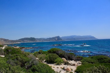 Landscape of Cape Town,South Africa