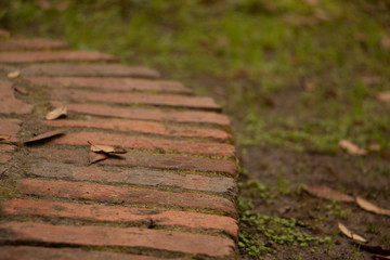 brick walkway blurred background