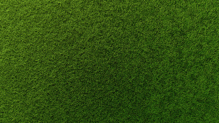 Grass texture full frame