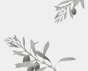 Olive branch on a Christmas card
