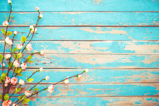 Cherry blossom flowers on vintage wooden background, border design. vintage color tone - concept flower of spring or summer background