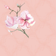vintage background with magnolia