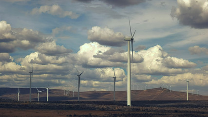 the wild horse wind farm in eastern washington