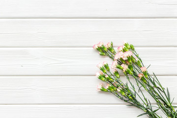 Delicate spring flowers. Small pink carnation on white wooden background top view copy space