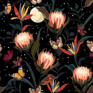 Beautiful protea flowers and botanical garden night with moon shine and stars ,butterflies saemless pattern vector design for fashion ,fabric,wallpaper and all prints