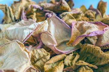 Dried Pink and Yellow Rose Petals Scattered on Blue Background. Top View, Flat Lay, Copy Space. Valentine, International Women's Day Card, Banner, Cover, Invitation Concept.