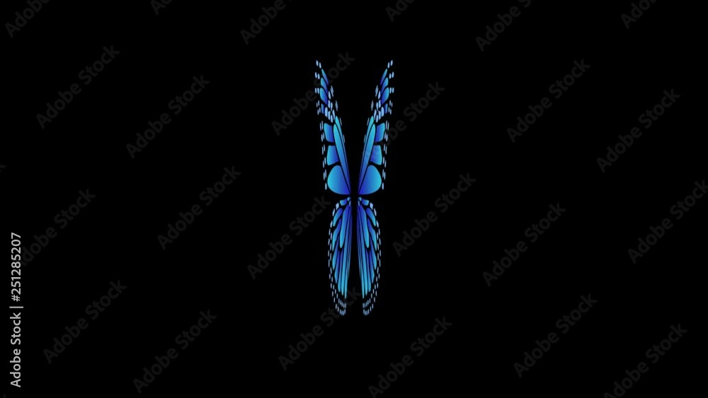 Poster different colors top view butterfly flapping wings animations with alpha matte 5 seconds seamless lo