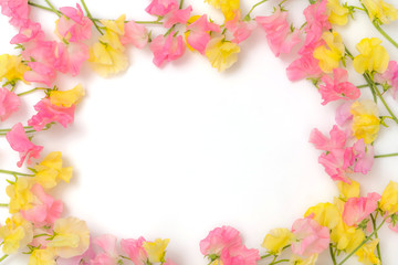 春のお花　Flower frame of spring