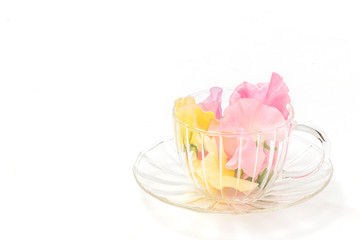 春のお花　Flower frame of spring