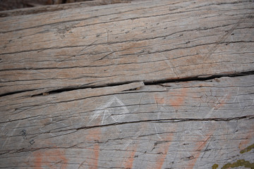 wood texture