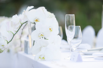 decoration white flower on dinner table with wine glass cup