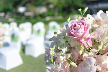 decoration pink rose flower for decorate wedding ceremony with many wedding chairs on background