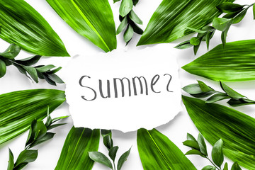 Summer concept. Hand lettering text summer near green leaves and branches on white background top view