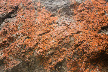 beach sand wall