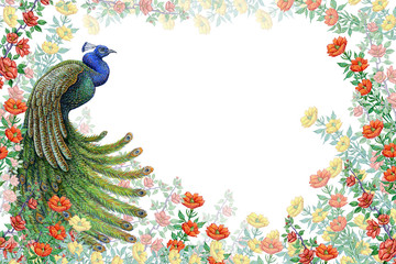 Birds, peacocks and flowers.watercolor illustration for design of cards, wedding invitations