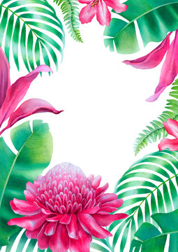 Watercolor background with illustrations of tropical flora