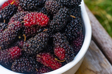 The mulberry fruit in white bowl on wood table.