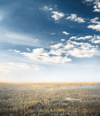 autumn fields