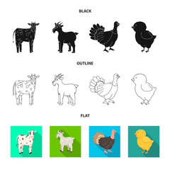 Vector illustration of breeding and kitchen  sign. Set of breeding and organic  vector icon for stock.
