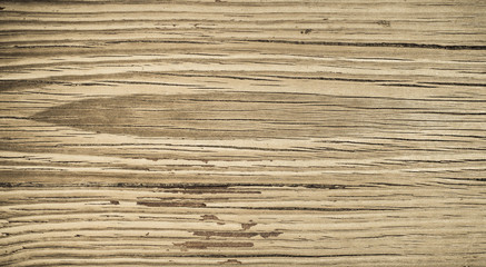 Fototapeta premium Old wood texture background, perfect natural pattern.