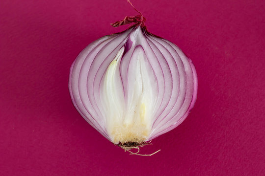 633 Best 紫玉ねぎ Images Stock Photos Vectors Adobe Stock