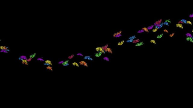 Fly Flock Of Colored Butterflies Motion Path Animations With Alpha Channel