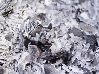 Close up ashes and cinders from ghost money paper burning for Ancestor in Chinese New Year.