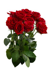 bouquet of red roses with green foliage