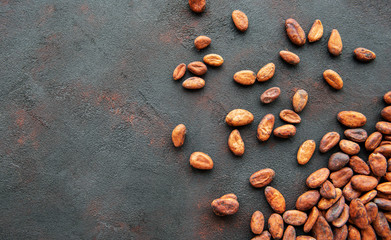 Raw cacao beans