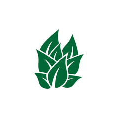 Leaf icon design template vector isolated