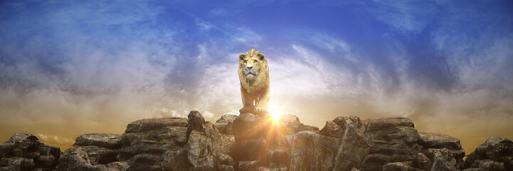 Fototapeta Lion at sunset. 3d rendering obraz