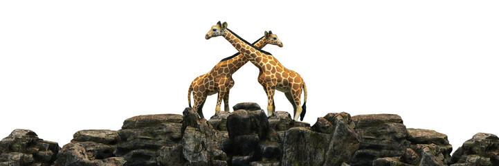 Giraffe at sunset. 3d rendering
