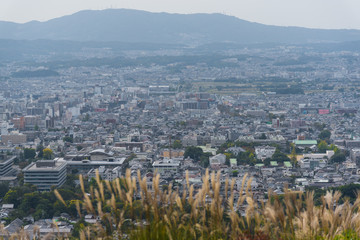 Landscape view of Nara, Japan 