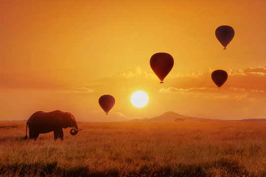 Lonely  african elephant against the sky with balloons at sunset. African fantastic image. Africa, Tanzania, Serengeti National Park. Summer wonderland.