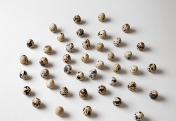 Raw quail eggs on white background