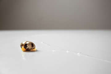 Broken raw quail egg on white table