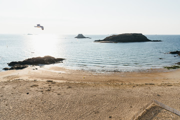 Fototapeta na wymiar Seagull flying over the empty beach of Saint Malo