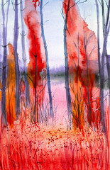 Watercolor illustration of a beautiful summer forest landscape
