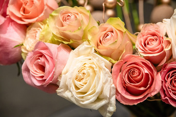 rose flowers for calendar and postcard