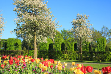 Frühling im Keukenhof in Lisse, Holland