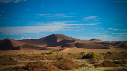 Fototapeta na wymiar Sand dunes Namib-Naukluft national park in Namibia