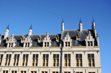 Fototapeta na wymiar Malines : Cathédrale Saint-Rombaut (Belgique)