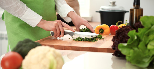Unknown human hands cooking in kitchen. Woman is busy with vegetable salad. Healthy meal, and vegetarian food concept