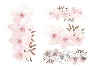Set of Floral brushes with delicate pink and blooming flowers, buds and leaves isolated on white...