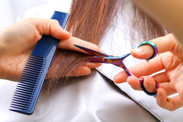 Close-up of a hairdresser cutting the hair of a woman in a beauty salon