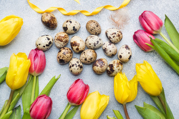 Bright flowers tulips and quail eggs on stone background. Spring and Easter holiday concept with copy space
