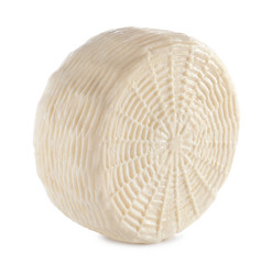 Tasty cheese on white background