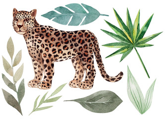 Set of leopard and tropical leaves. Trendy style. Exotic and jungle animal. Hand drawn watercolor illustration. Summer design for decor, print, printing on paper or fabric, web design, blog decoration