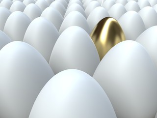 One golden egg among white ones