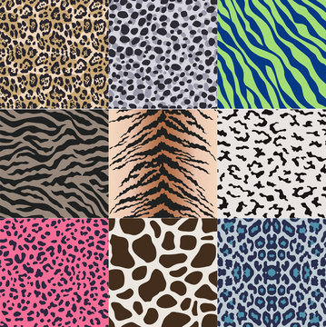seamless animal skin pattern background set